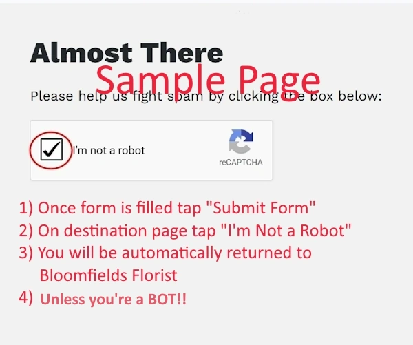 Hover Image